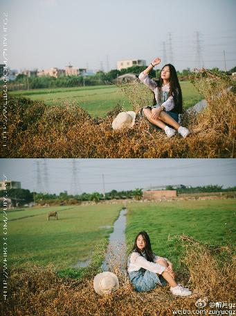 穿越到一女多男合欢宗世界的小说